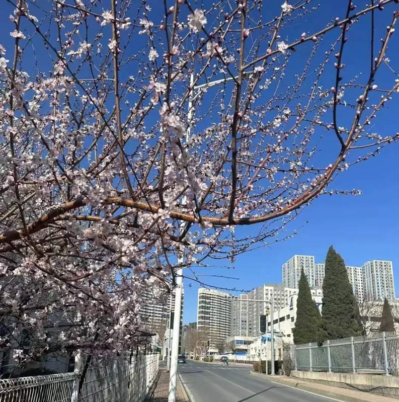 1713001234891264.jpg 640.jpg