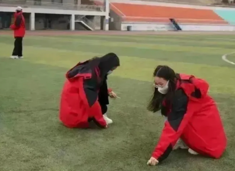 1713268249880582.png image.png