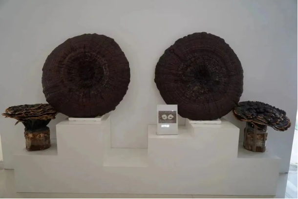 1722485637534367.png image.png