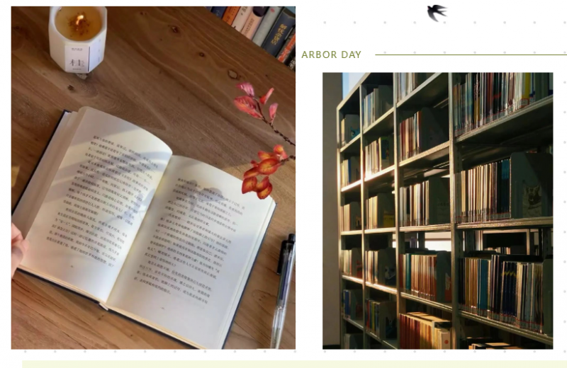 1722855206823908.png 1722855199003.png